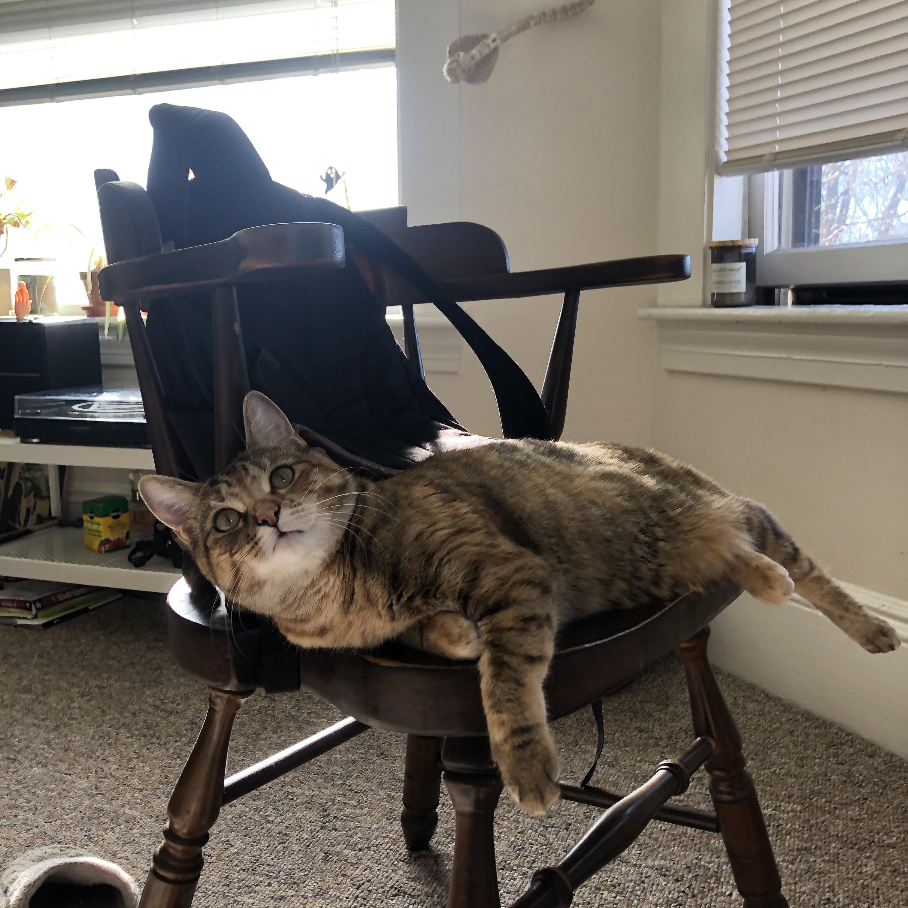 不眠之夜，富安健洋爆发，法国经验单节摧毁国际米兰