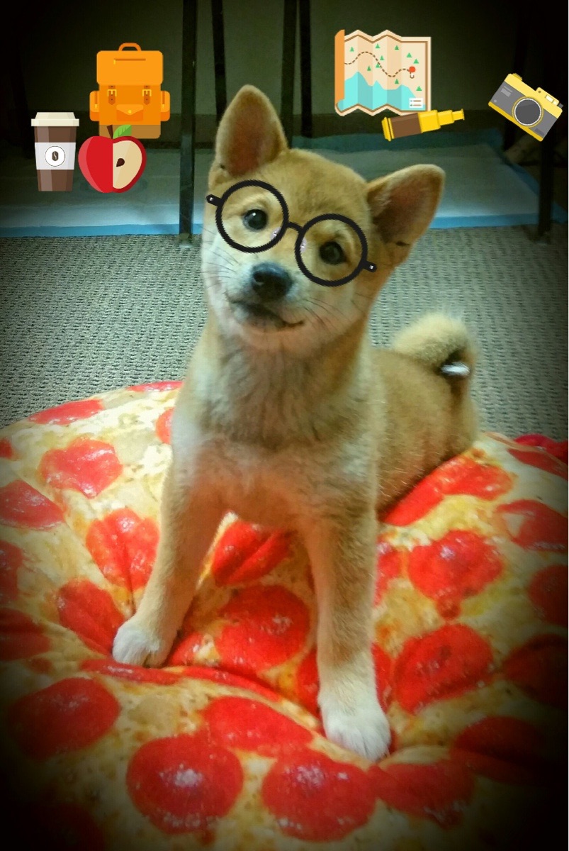 跨界烽火，拉什福德奇兵助阵阿森纳，对决AC米兰点燃绿茵激情