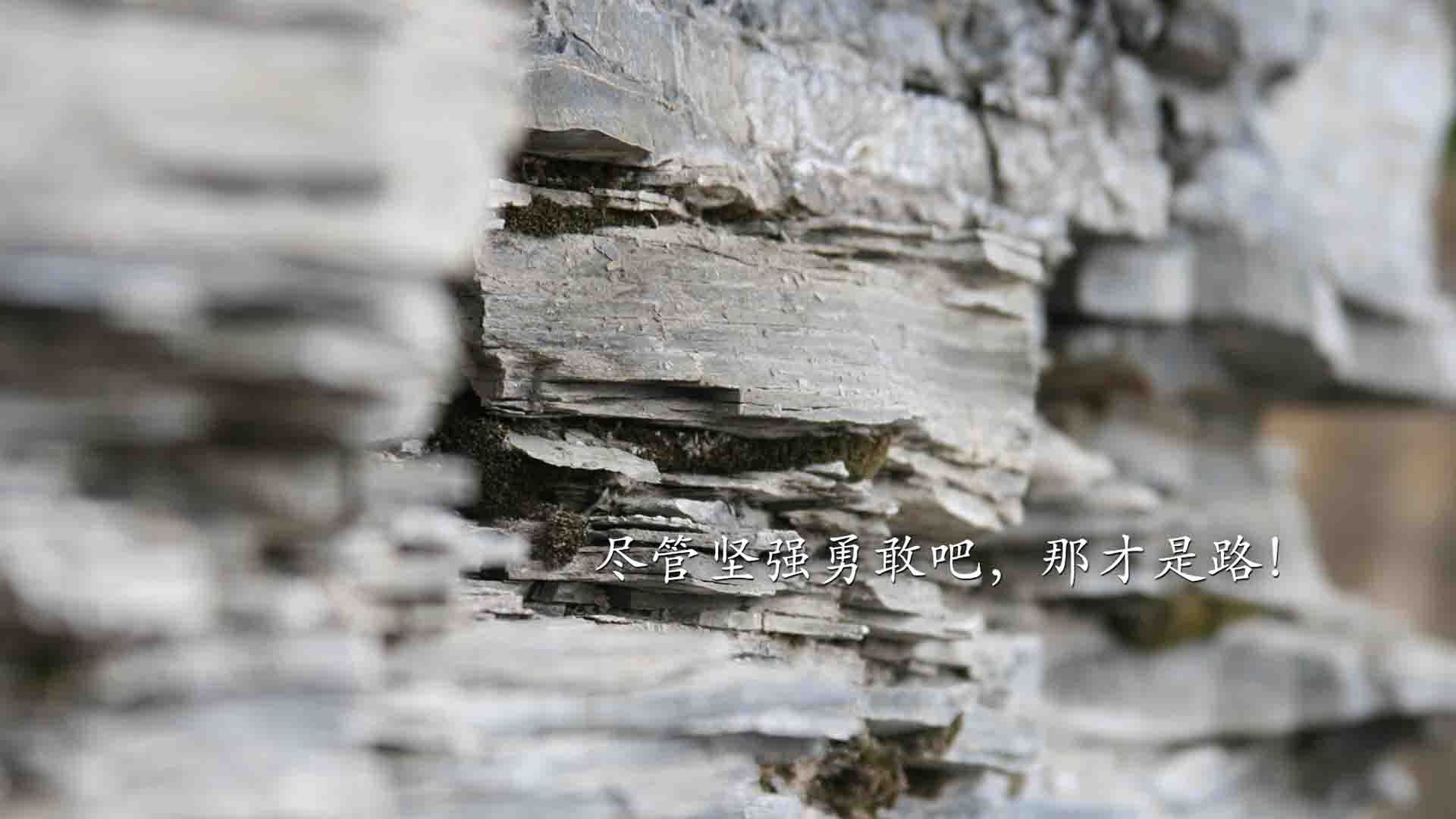 保罗拔掉电源，当悬念在第三节末被强制关机