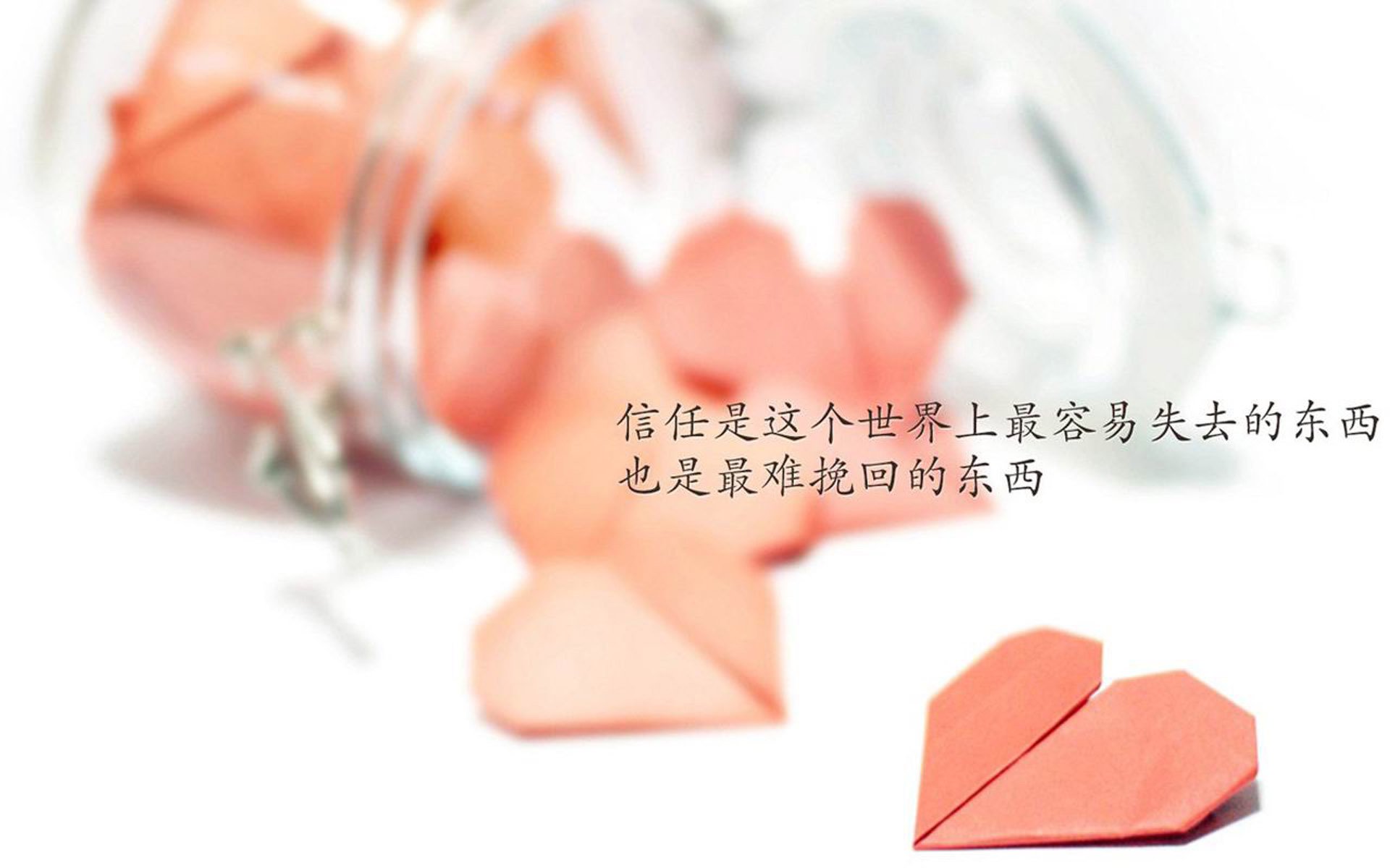沙漠玫瑰,当北非弯刀刺穿日耳曼战车,2026世界杯的唯一启幕